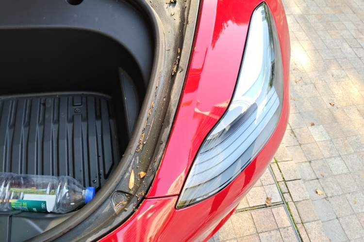Used Tesla Model 3 2021 Standard Range Rear-Drive Upgraded Version Engine Bay Left