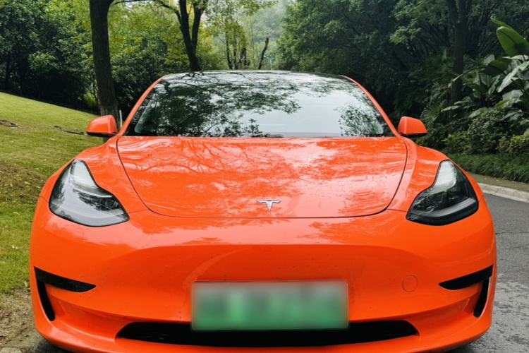 Used Tesla Model 3 2021 Standard Range Rear-Drive Upgraded Version Exterior 1