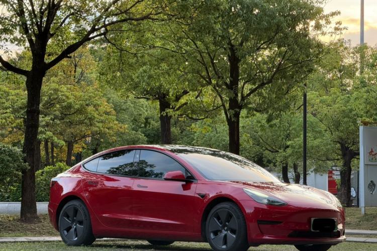 Used Tesla Model 3 2021 Standard Range Rear-Drive Upgraded Version Exterior 3