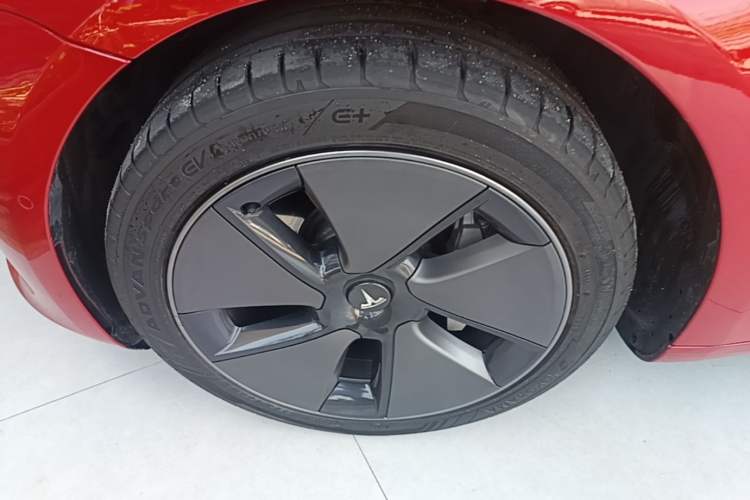 Used Tesla Model 3 2021 Standard Range Rear-Drive Upgraded Version Exterior 4
