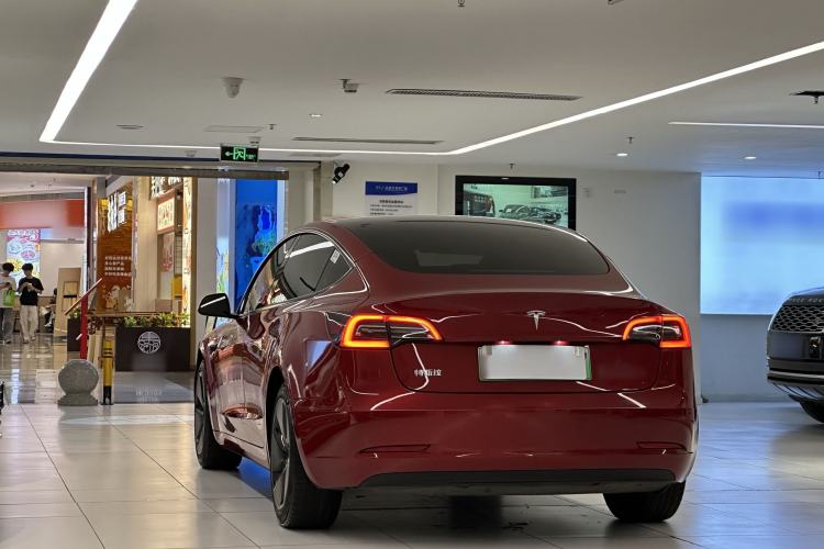 Used Tesla Model 3 2021 Standard Range Rear-Wheel Drive Upgraded Version 3D6 Exterior 6