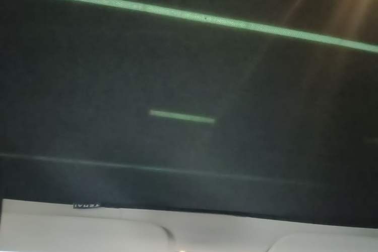 Used Tesla Model 3 2021 Standard Range Rear-Drive Upgraded Version Headliner