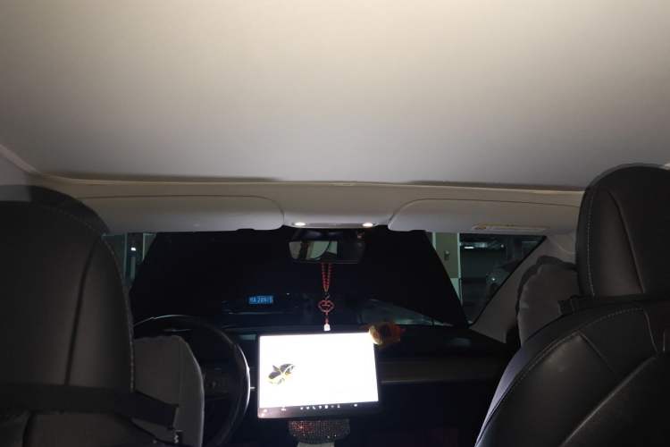 Used Tesla Model 3 2021 Standard Range Rear-Drive Upgraded Version Headliner