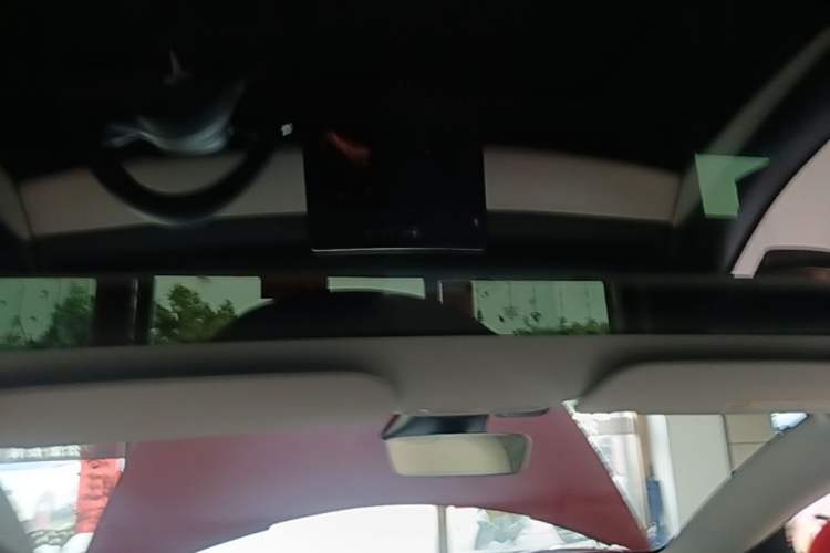 Used Tesla Model 3 2021 Performance High-Performance All-Wheel-Drive Version 3D6 Headliner