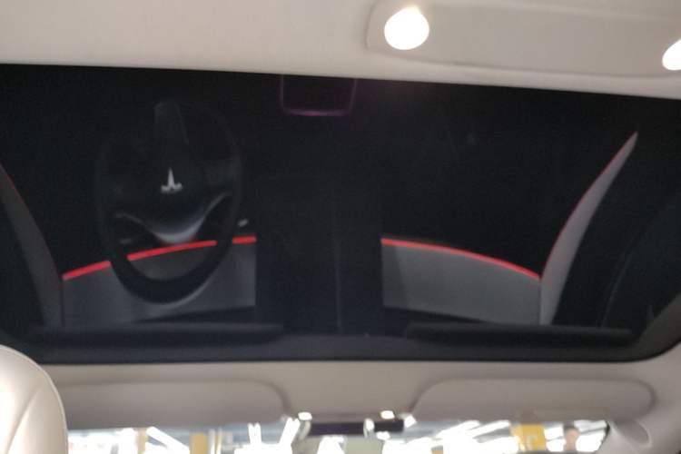 Used Tesla Model 3 2021 Standard Range Rear-Wheel Drive Upgraded Version 3D6 Headliner
