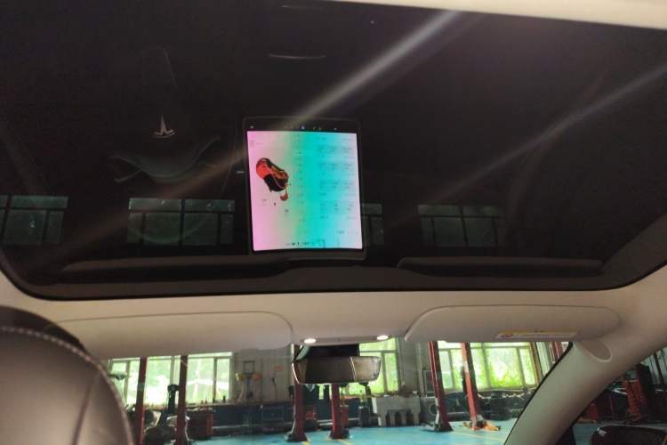 Used Tesla Model 3 2021 Standard Range Rear-Drive Upgraded Version Headliner