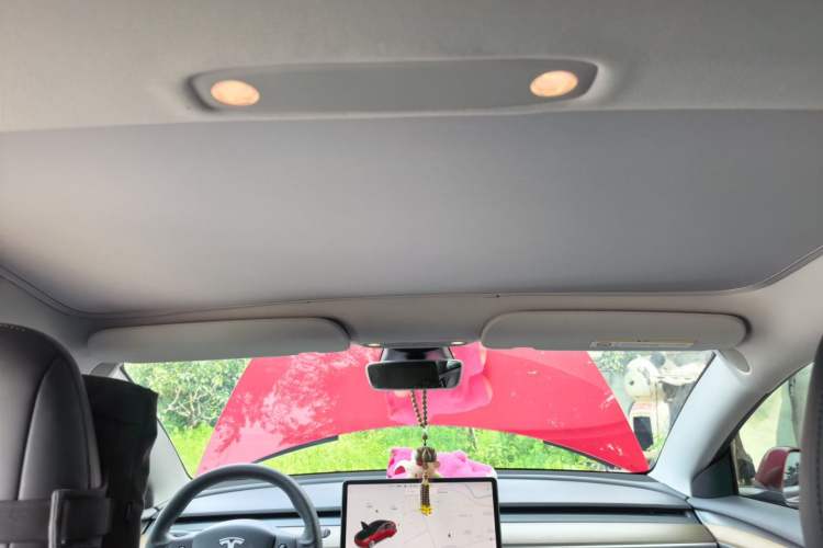Used Tesla Model 3 2021 Revised Version Standard Range Rear-Wheel Drive Upgraded Edition 3D1 Headliner