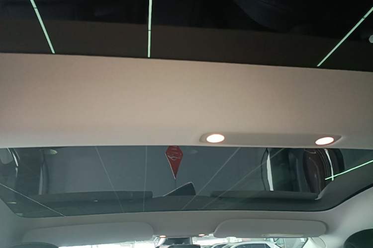 Used Tesla Model 3 2021 Revised Version II – Performance High-Performance All-Wheel-Drive Edition Headliner