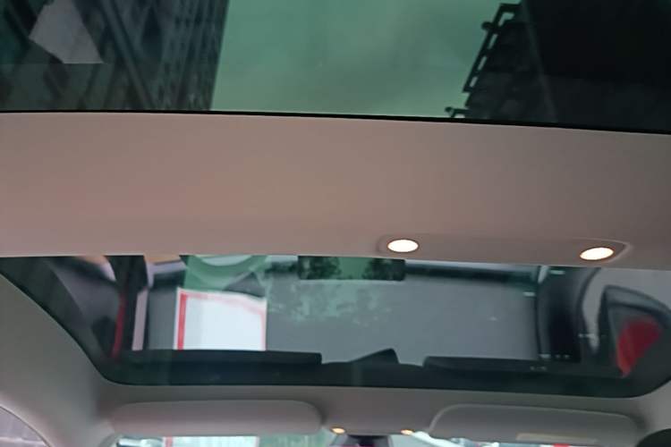 Used Tesla Model 3 2021 Revised Version II – Performance High-Performance All-Wheel-Drive Edition Headliner