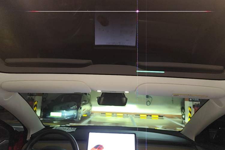 Used Tesla Model 3 2021 Standard Range Rear-Drive Upgraded Version Headliner