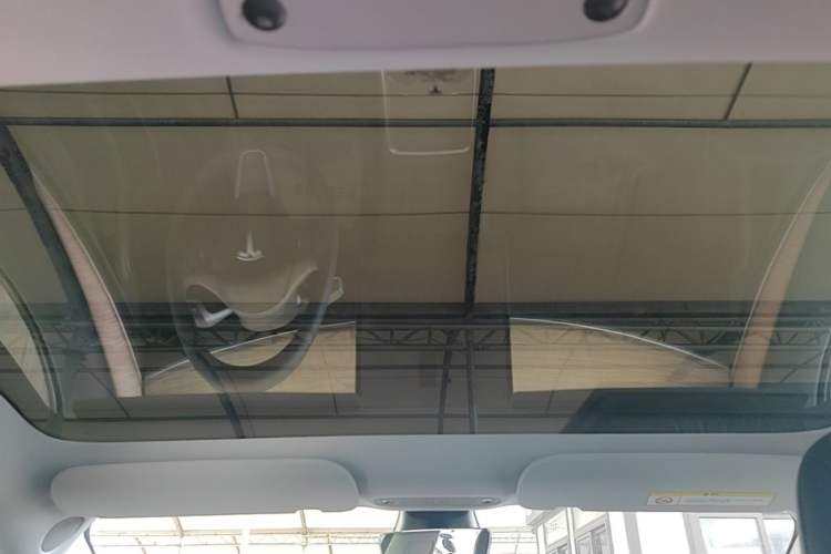 Used Tesla Model 3 2021 Standard Range Rear-Drive Upgraded Version Headliner