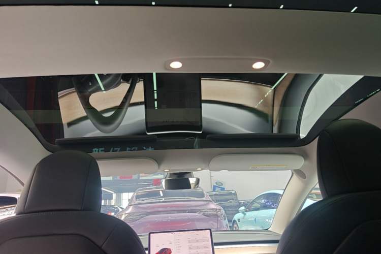 Used Tesla Model 3 2021 Standard Range Rear-Drive Upgraded Version Headliner