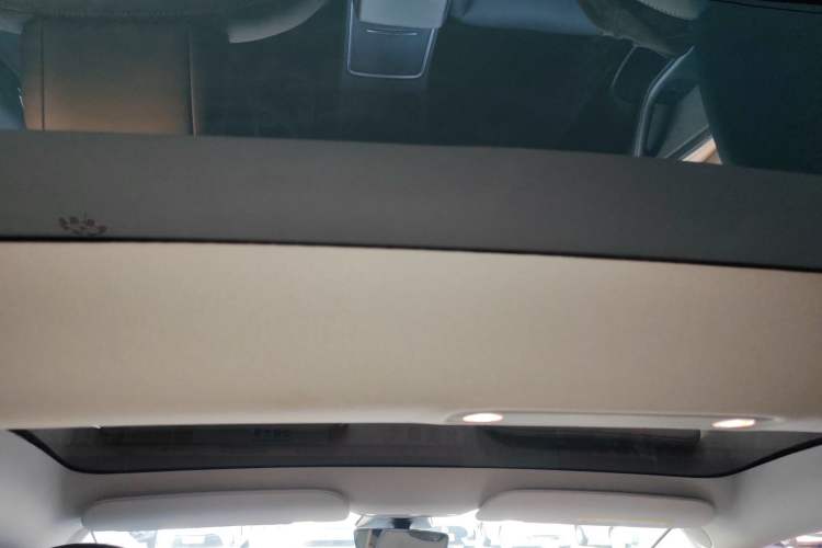 Used Tesla Model 3 2021 Performance High-Performance All-Wheel-Drive Version Headliner