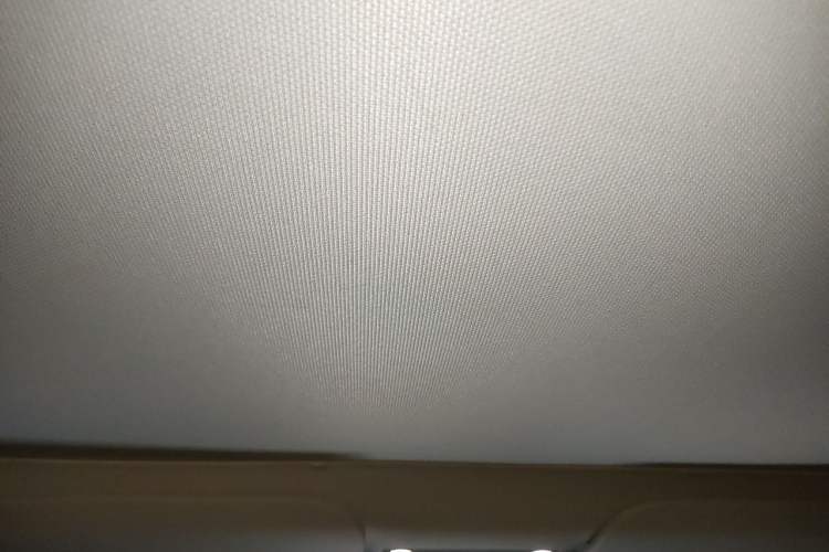 Used Tesla Model 3 2021 Standard Range Rear-Drive Upgraded Version Headliner