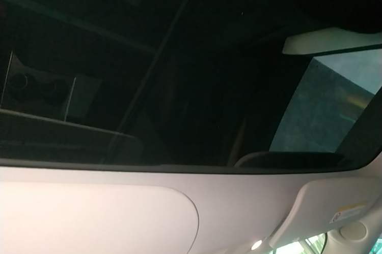 Used Tesla Model 3 2021 Performance High-Performance All-Wheel-Drive Version Headliner