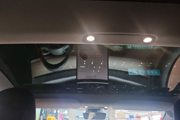 Used Tesla Model 3 2021 Performance High-Performance All-Wheel-Drive Version Headliner