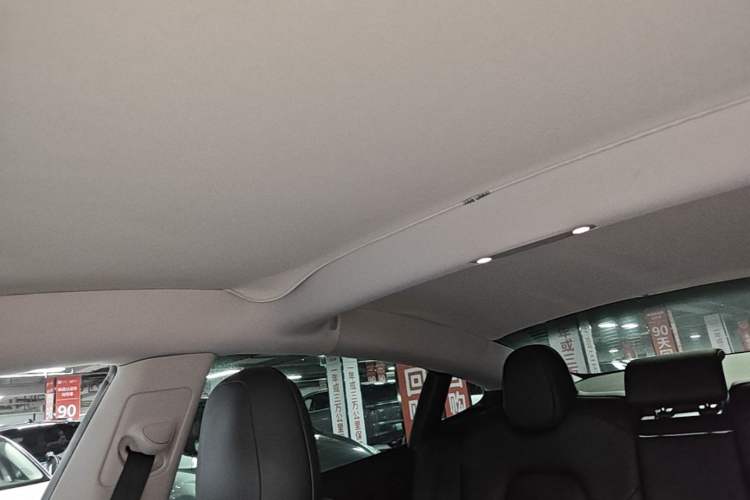 Used Tesla Model 3 2021 Standard Range Rear-Drive Upgraded Version Headliner