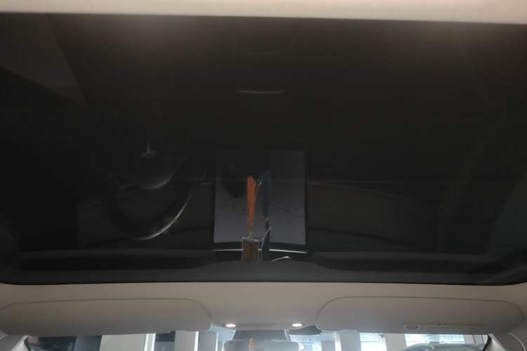 Used Tesla Model 3 2021 Standard Range Rear-Wheel Drive Upgraded Version 3D6 Headliner