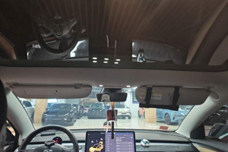 Used Tesla Model 3 2021 Performance High-Performance All-Wheel-Drive Version Headliner