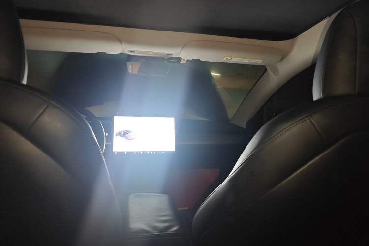 Used Tesla Model 3 2021 Standard Range Rear-Drive Upgraded Version Headliner