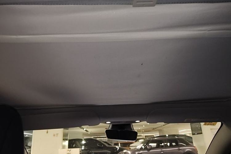 Used Tesla Model 3 2021 Standard Range Rear-Wheel Drive Upgraded Version 3D6 Headliner