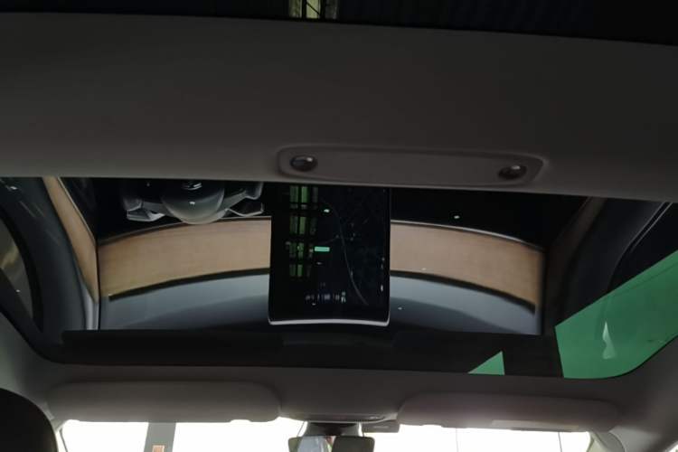 Used Tesla Model 3 2021 Performance High-Performance All-Wheel-Drive Version 3D6 Headliner