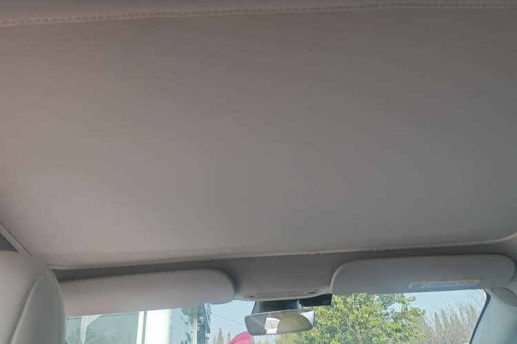 Used Tesla Model 3 2021 Standard Range Rear-Wheel Drive Upgraded Version 3D6 Headliner