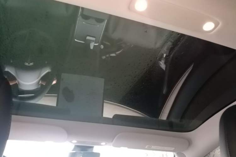 Used Tesla Model 3 2021 Standard Range Rear-Drive Upgraded Version Headliner
