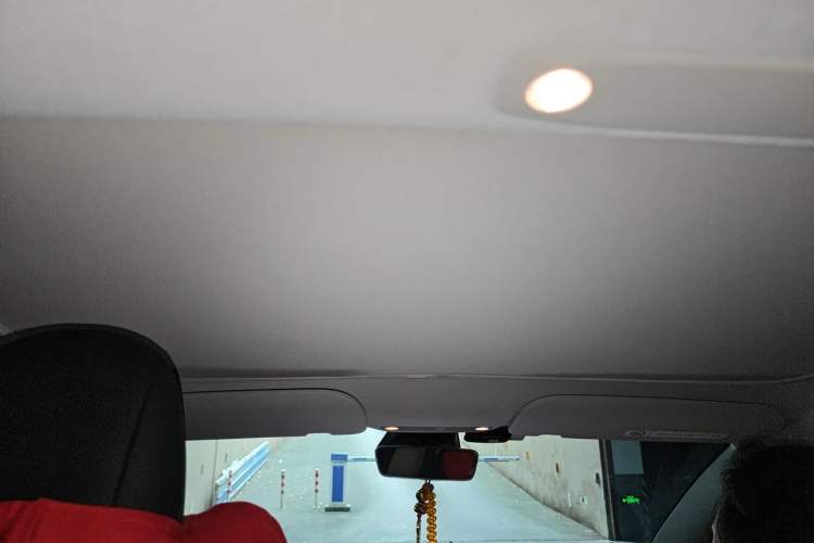Used Tesla Model 3 2021 Standard Range Rear-Drive Upgraded Version Headliner