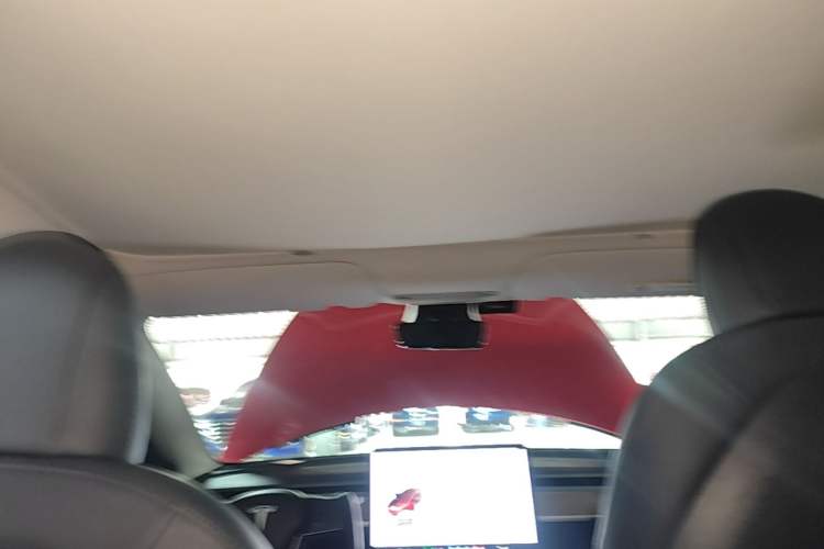 Used Tesla Model 3 2021 Performance High-Performance All-Wheel-Drive Version 3D6 Headliner