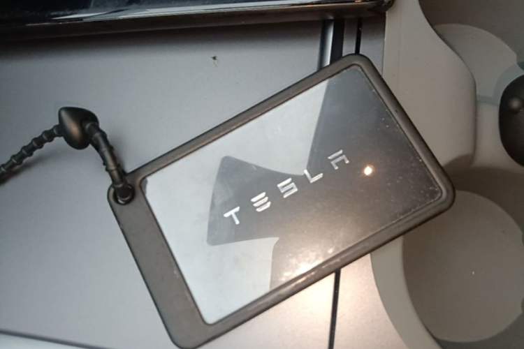 Used Tesla Model 3 2021 Standard Range Rear-Drive Upgraded Version Interior 1