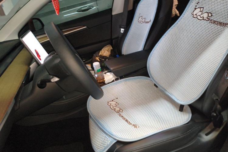 Used Tesla Model 3 2021 Standard Range Rear-Drive Upgraded Version Left Front Seat
