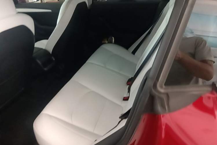 Used Tesla Model 3 2021 Performance High-Performance All-Wheel-Drive Version 3D6 Left Rear Seat
