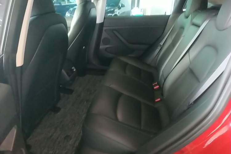 Used Tesla Model 3 2021 Performance High-Performance All-Wheel-Drive Version Left Rear Seat