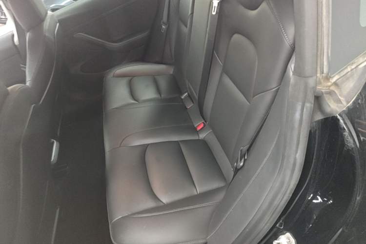 Used Tesla Model 3 2021 Performance High-Performance All-Wheel-Drive Version Left Rear Seat