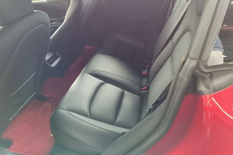 Used Tesla Model 3 2021 Performance High-Performance All-Wheel-Drive Version 3D6 Left Rear Seat