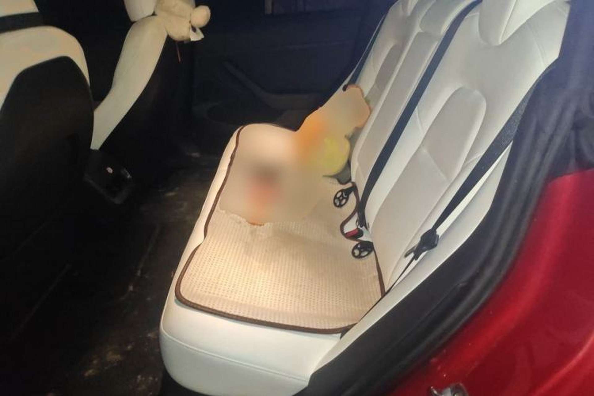 Used Tesla Model 3 2021 Standard Range Rear-Drive Upgraded Version Left Rear Seat