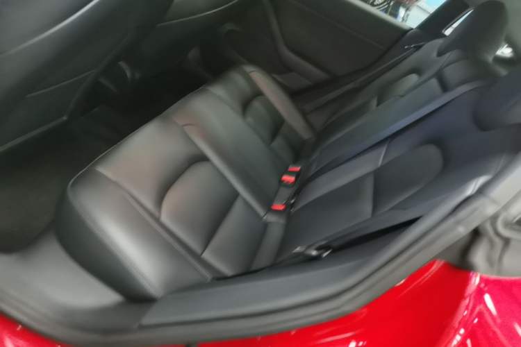 Used Tesla Model 3 2021 Performance High-Performance All-Wheel-Drive Version Left Rear Seat