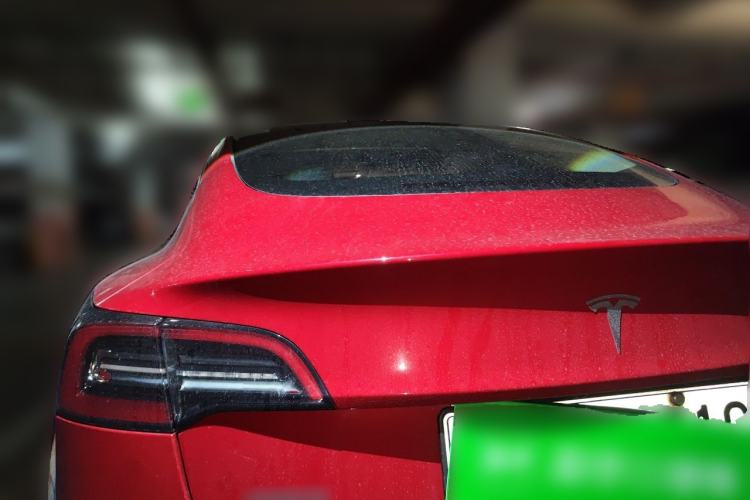 Used Tesla Model 3 2021 Standard Range Rear-Wheel Drive Upgraded Version 3D6 Rear