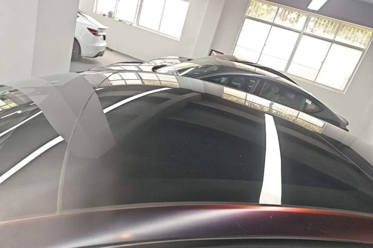 Used Tesla Model 3 2021 Performance High-Performance All-Wheel-Drive Version Roof