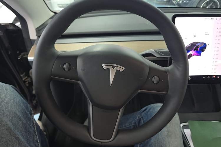 Used Tesla Model 3 2021 Standard Range Rear-Drive Upgraded Version Steering Wheel