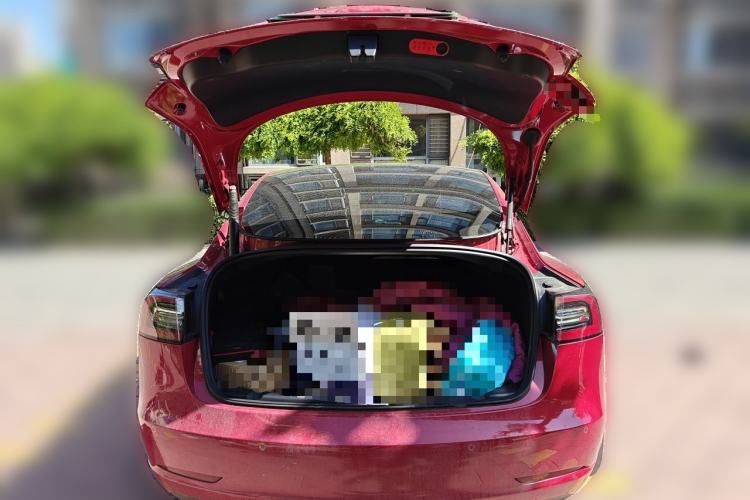 Used Tesla Model 3 2021 Standard Range Rear-Drive Upgraded Version Trunk