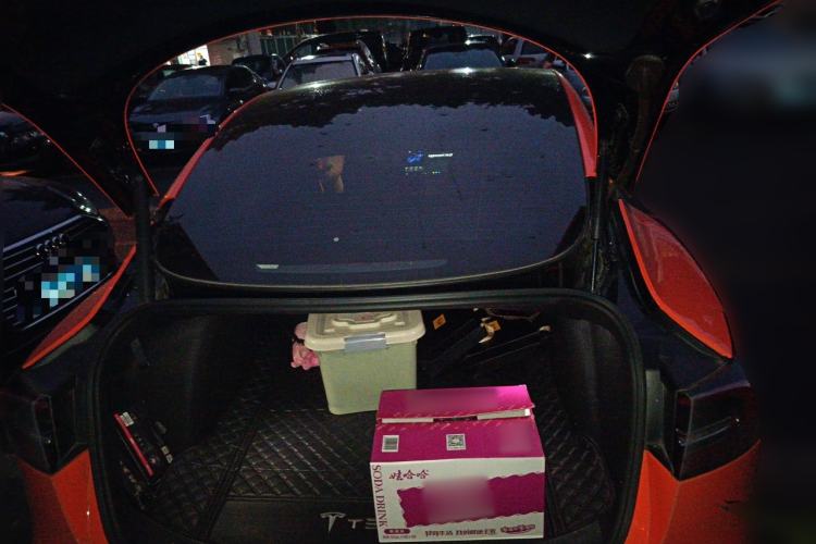 Used Tesla Model 3 2021 Standard Range Rear-Drive Upgraded Version Trunk