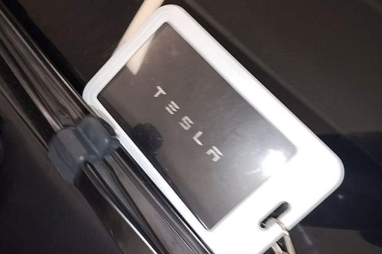 Used Tesla Model 3 2021 Standard Range Rear-Wheel Drive Upgraded Version 3D6 Vehicle Key