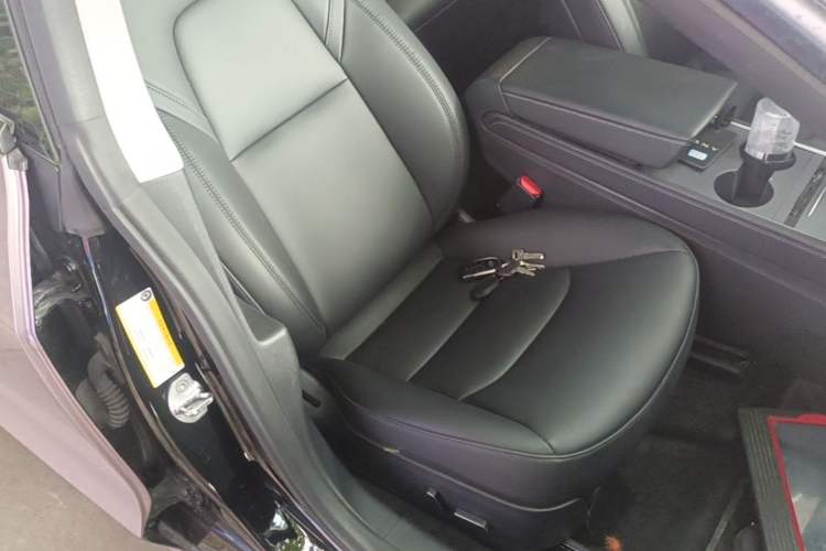 Used Tesla Model 3 2021 Revised Version Standard Range Rear-Wheel Drive Upgraded Edition 3D1 Right Front Seat