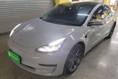Used Tesla Model 3 2021 Standard Range Rear-Wheel Drive Upgraded Version 3D6