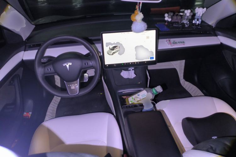 Used Tesla Model 3 2021 Standard Range Rear-Wheel Drive Upgraded Version 3D6 Center Console