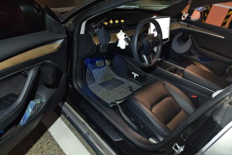 Used Tesla Model 3 2021 Standard Range Rear-Drive Upgraded Version Driver Seat