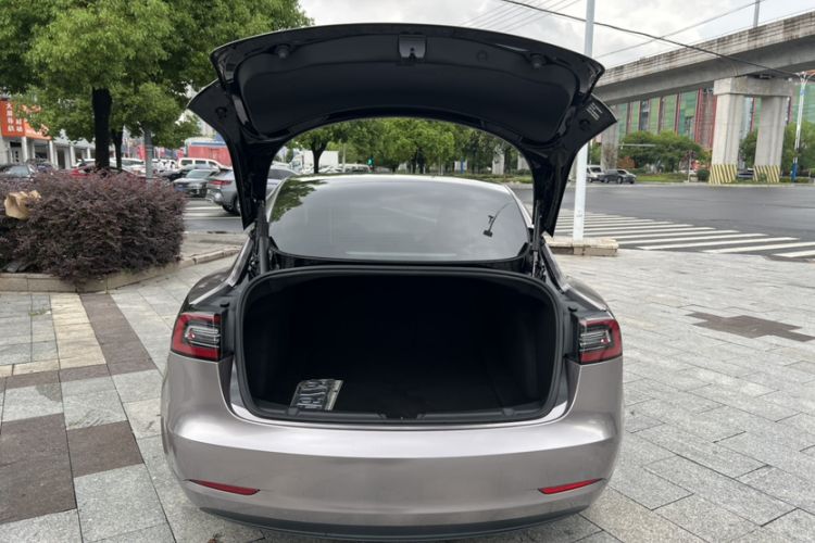 Used Tesla Model 3 2021 Standard Range Rear-Drive Upgraded Version Exterior 1