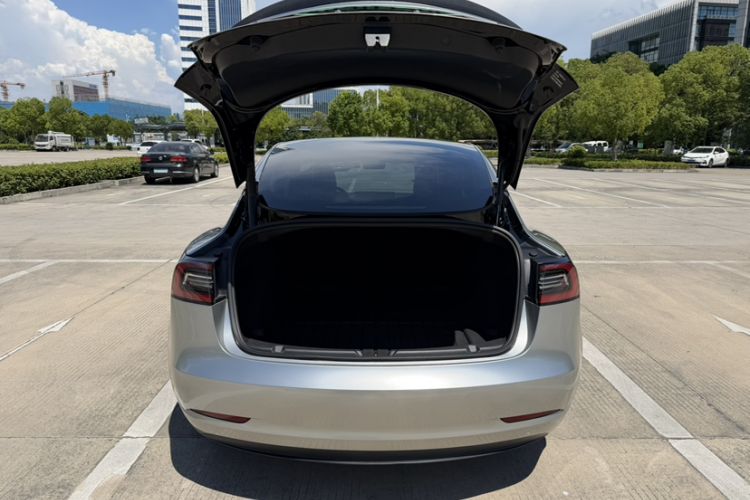 Used Tesla Model 3 2021 Performance High-Performance All-Wheel-Drive Version Exterior 4